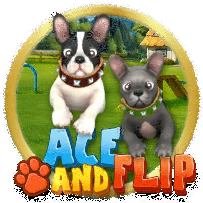 Ace & Flip